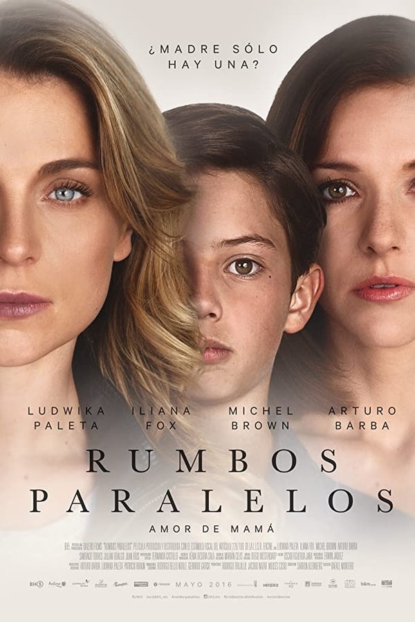 Gaby, Fer's mother and Silvia, Diego's mother, live their lives happily, until one day, due to Diego's kidney disease they find out that the kids were switched at birth. In order to save Diego’, both mothers end up in a legal battle to see who will have the custody of which kid.