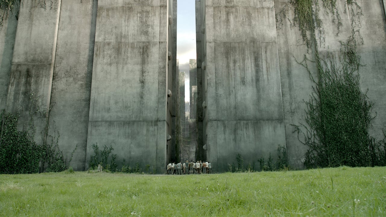 The Maze Runner 0