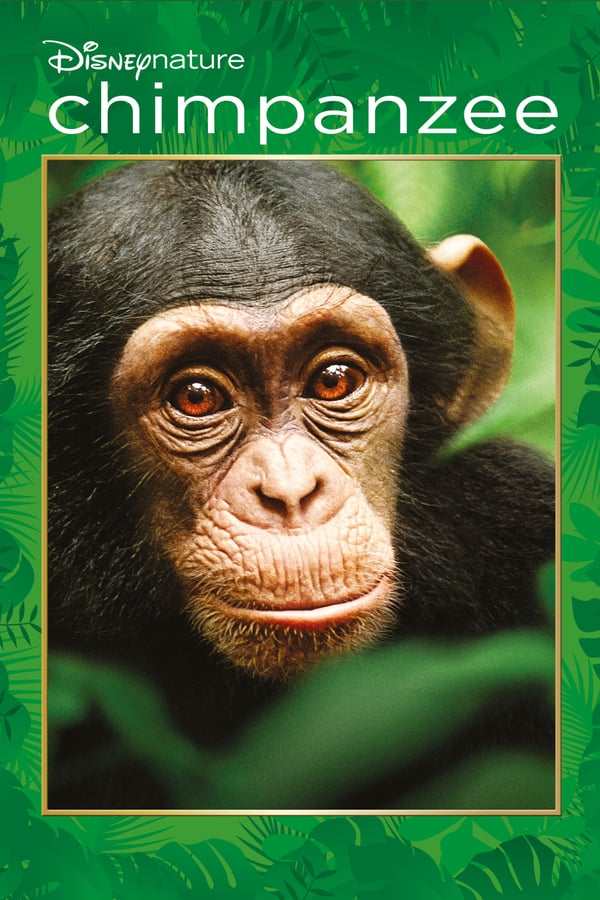 Chimpanzee cover image