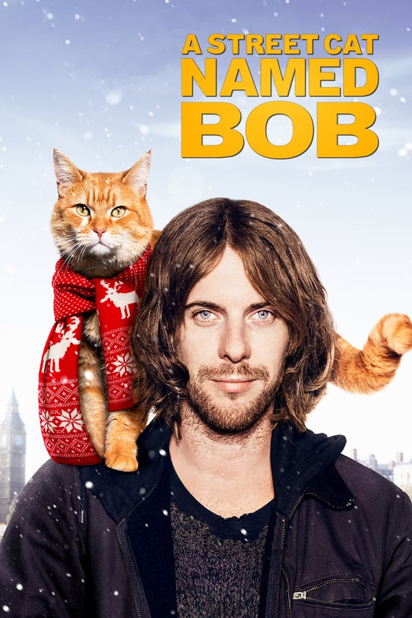James Bowen, a homeless busker and recovering drug addict, has his life transformed when he meets a stray ginger cat.