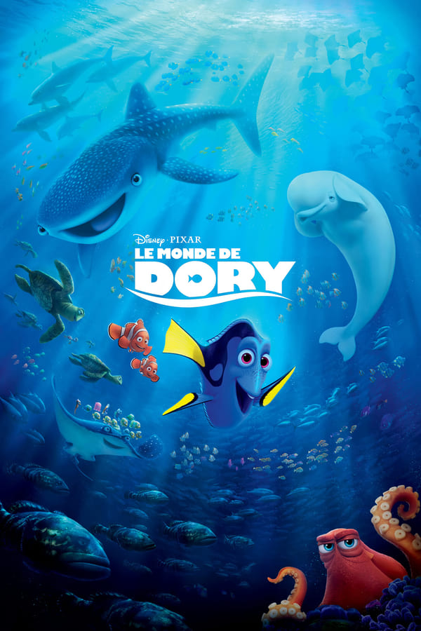 Dory, le poisson chirurgien bleu amnésique, retrouve ses amis Nemo et Marlin. Tous trois se lancent à la recherche du passé de Dory. Pourra-t-elle retrouver ses souvenirs ? Qui sont ses parents ? Et où a-t-elle bien pu apprendre à parler la langue des baleines ?