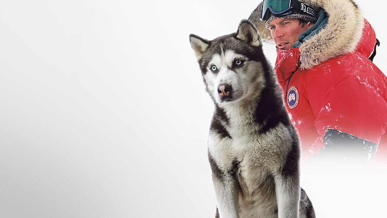 Eight Below 0