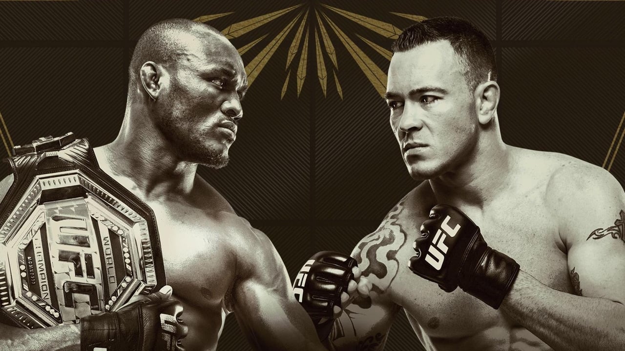 UFC 245: Usman vs. Covington backdrop image