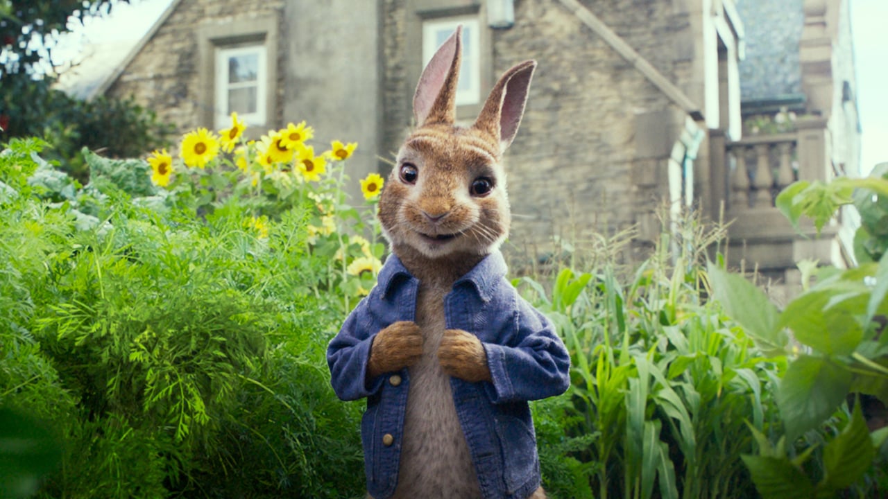 Peter Rabbit backdrop image