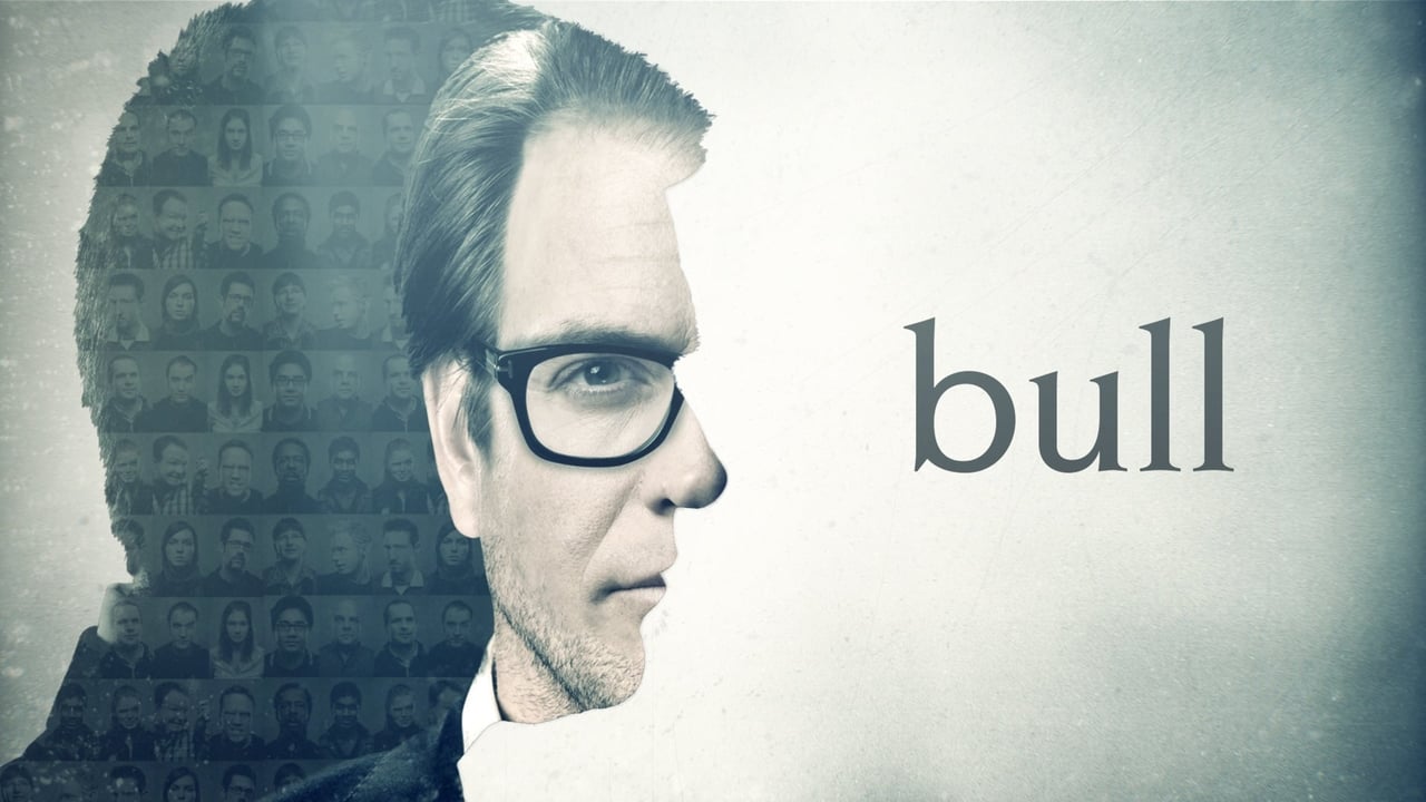 EN - Bull (2016) 2